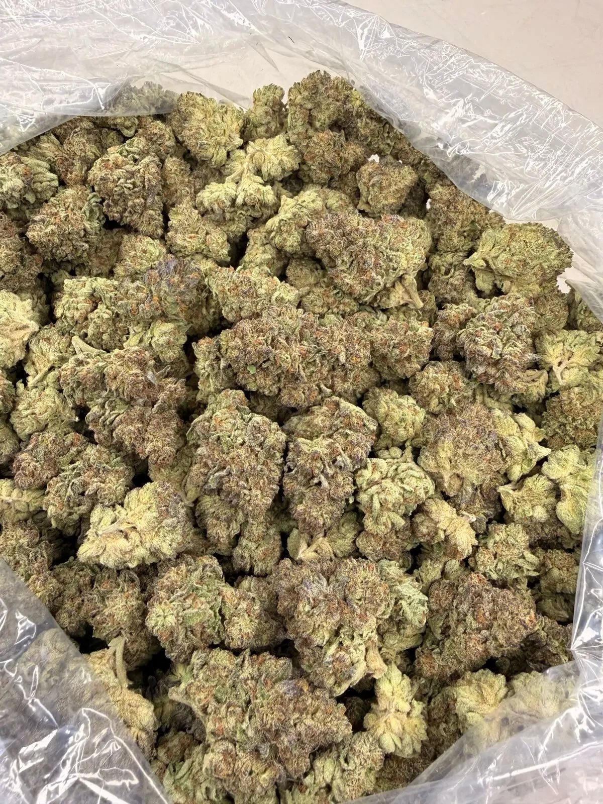 Icc Flower